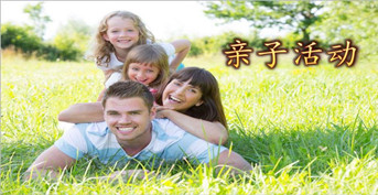 金芒果未來領袖—日常活動照片展示