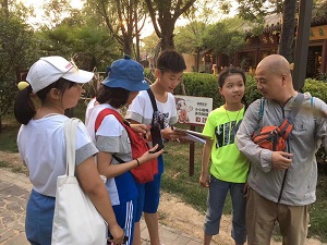 適當的挫折教育，是孩子人生的必修課