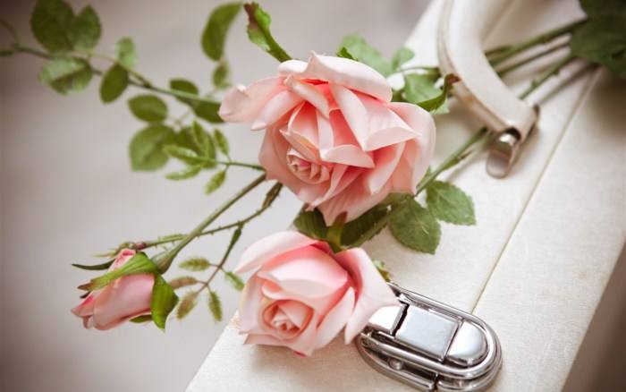 timg (89).jpg timg (89).jpg