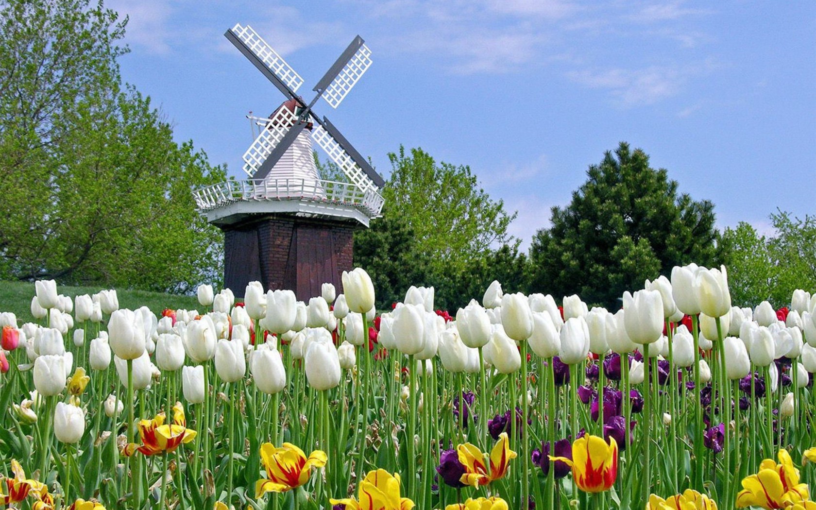 53bb662283f8d.jpg 53bb662283f8d.jpg