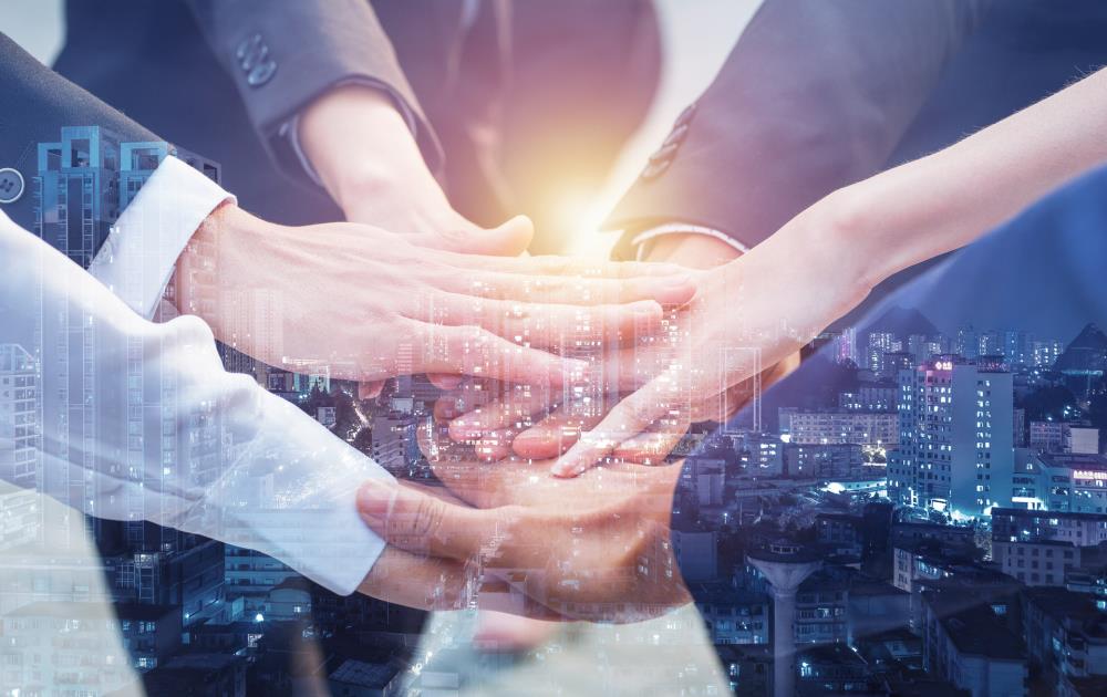 金芒果國際教育--企業拓展訓練篇