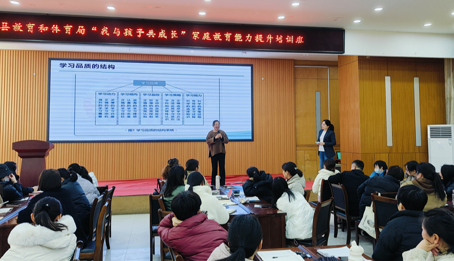 金芒果教育|不能容忍孩子不優秀是個什么心態